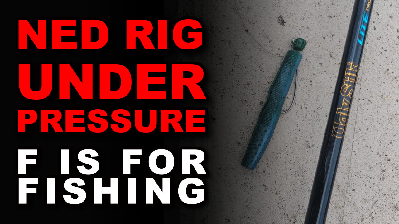 Ned Rig Under Pressure