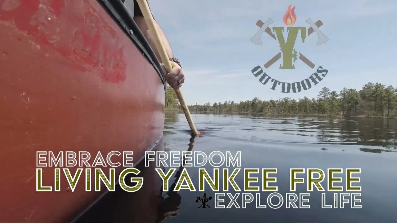 Embrace Freedom and Explore Life | Living Yankee Free