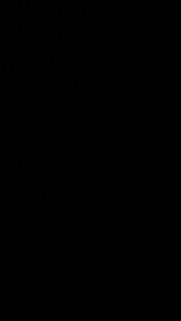 New York Yankees baseball game