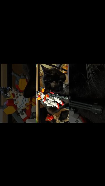 kitty has Gundam #shortsfeed #kittycat #shortsvideo #gundam #kitty #youtubeshorts #
