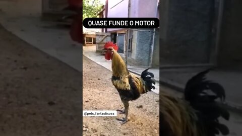 QUASE FUNDE O MOTOR #meme #fy #shorts