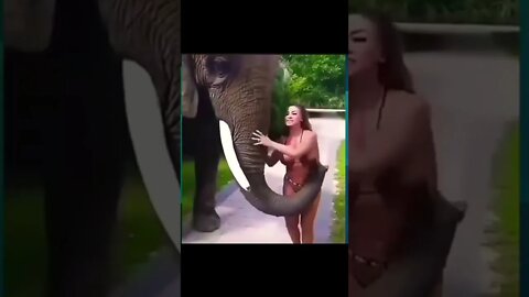 Elephant also likes mango😀😂 🥭 #shorts #viral #fyp