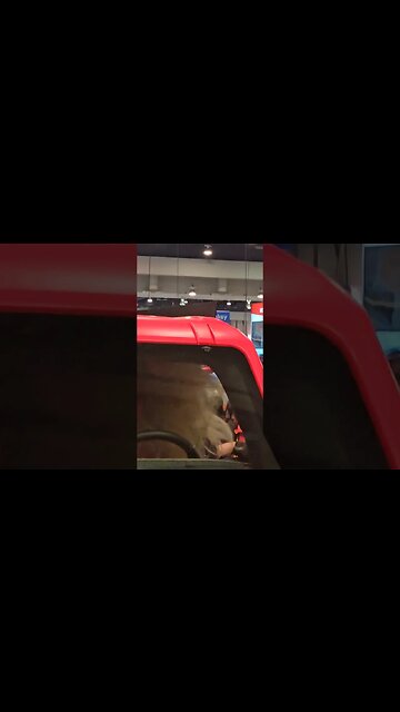 Bass So Hard Her Hair Was Blowing Out At SEMA #bass #shorts