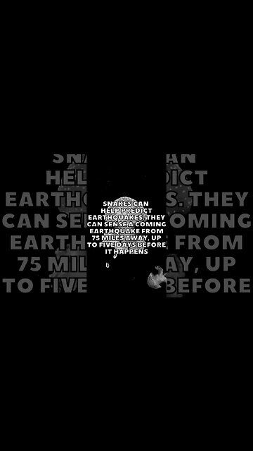 Incredible Random Facts That Will Expand Your Mind! [2023] #shorts #facts #viralshorts #fyp #life