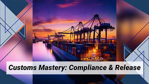 Unlocking the Path to Cargo Release: Navigating Customs Compliance with Ease