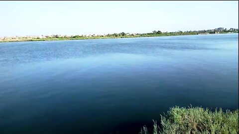 The Nile and the palms in Damietta