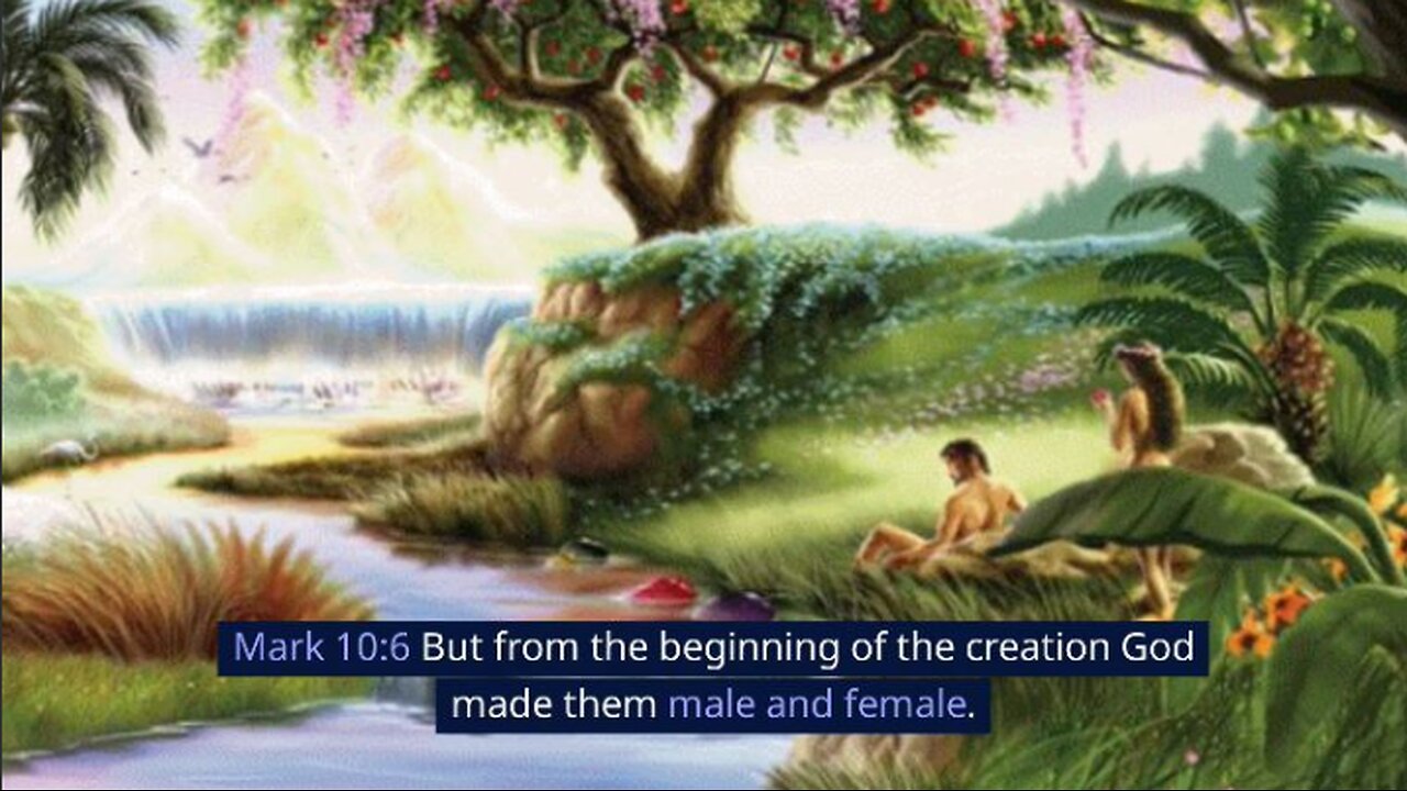 BPNT Book Series - Chapter 24 - What does the Bible say about creation?