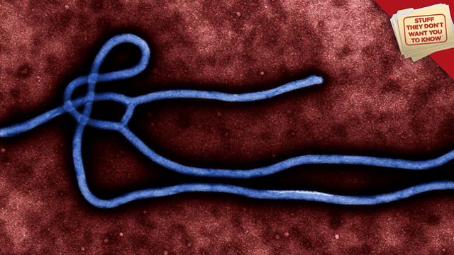 Stuff They Don't Want You to Know: Ebola: A Global Outbreak?