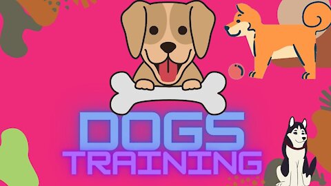 THE BIGGEST MISTAKES YOU CAN MAKE TRAINING YOUR DOG ! Dogs Training