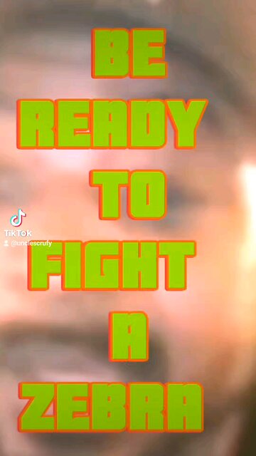 You gotta be ready to fight a zebra