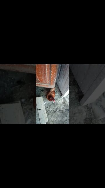 Good morning Rhiannon Rusty and P2. 2nd December 2022