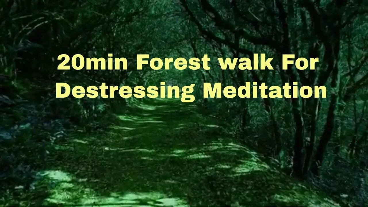 20 min Forest walk for destressing meditation