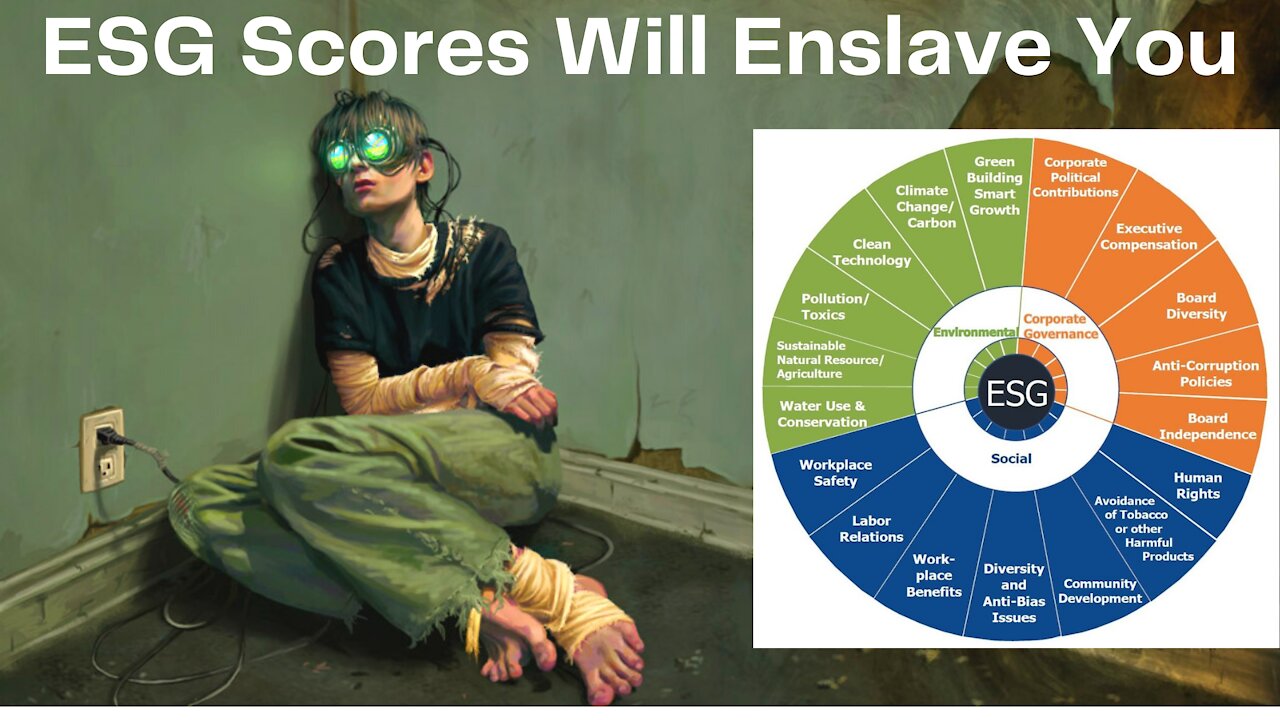 What are ESG Risk Scores? : Simply Explained!