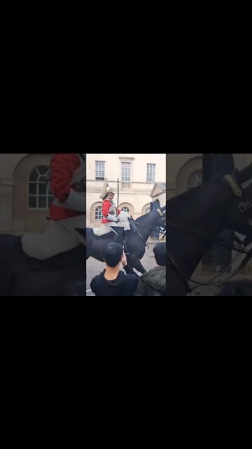Horse farts in front of tourists #horseguardsparade