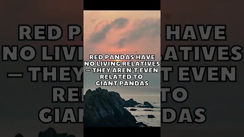Incredible Random Facts That Will Expand Your Mind! [2023] #shorts #facts #viralshorts #fyp #life