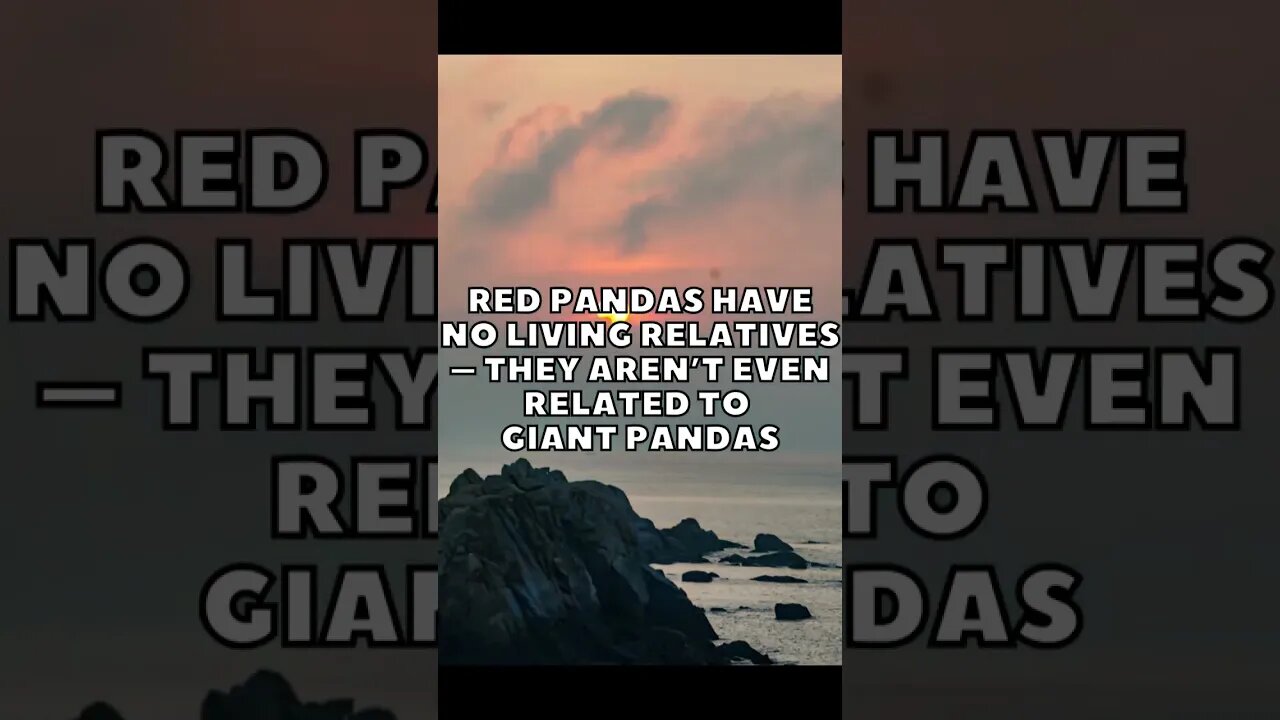 Incredible Random Facts That Will Expand Your Mind! [2023] #shorts #facts #viralshorts #fyp #life