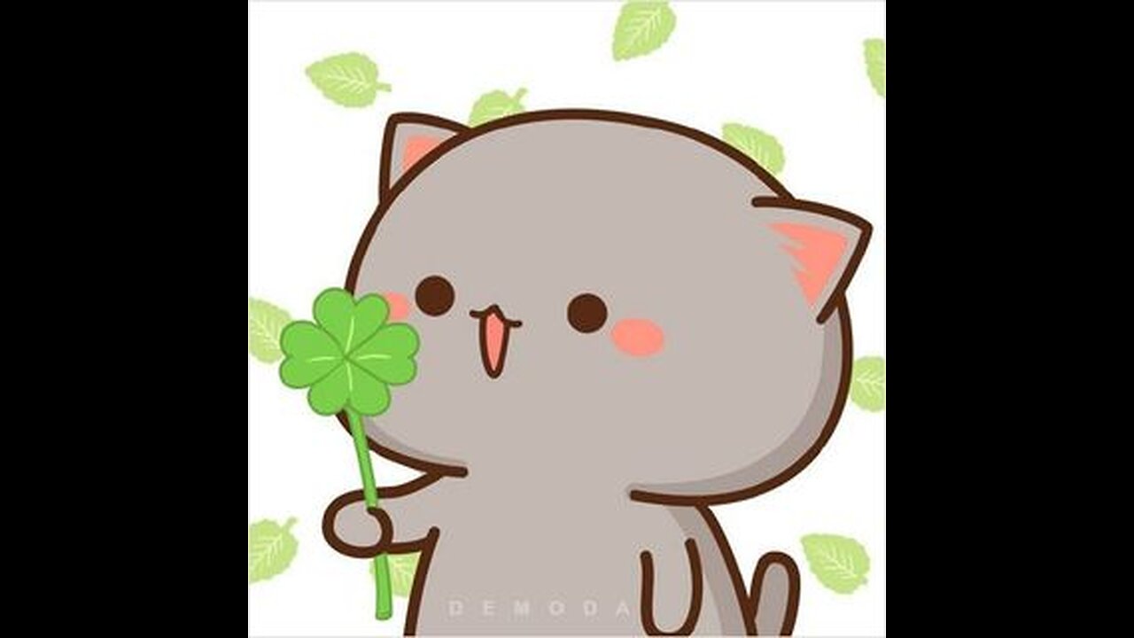 Funny Animals