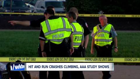 Hit and run deaths hit record high, AAA reports