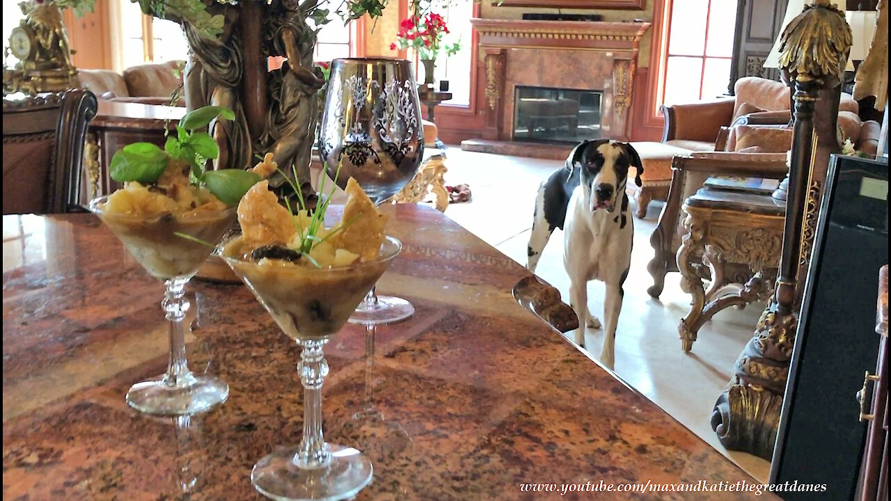 Great Danes Check Out Chicken Marsala Quarantini Martini