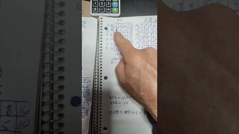 FIBONOCIA ART MATH