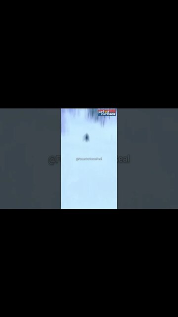 ESQUIADOR QUASE MORREU AO DESCER DE UMA MONTANHA CHEIA DE NEVE! #Shorts #esquiar #viral #tiktok