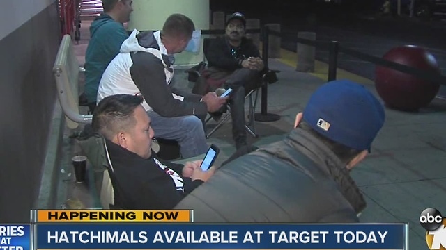 Dads camp out at Target for Hatchimals