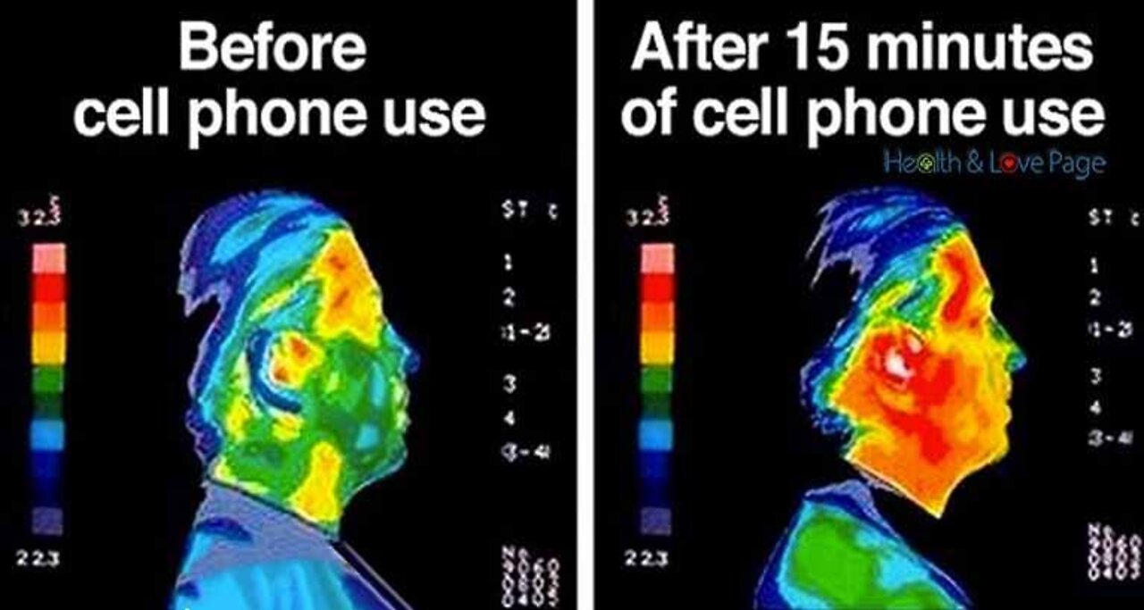 FDA Ignored Evidence Of Cell Phone Radiation