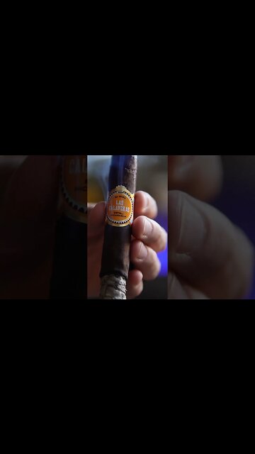 Las Calaveras 2023 by Crowned Heads #cigars #gold #shorts