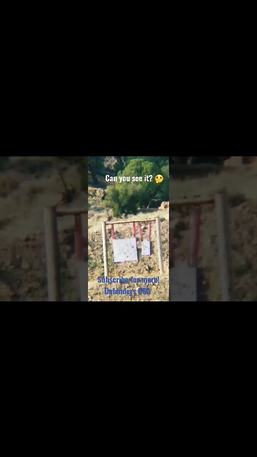 We offer Long Range Precision courses! Check our website at Defenders-USA.com for upcoming events.