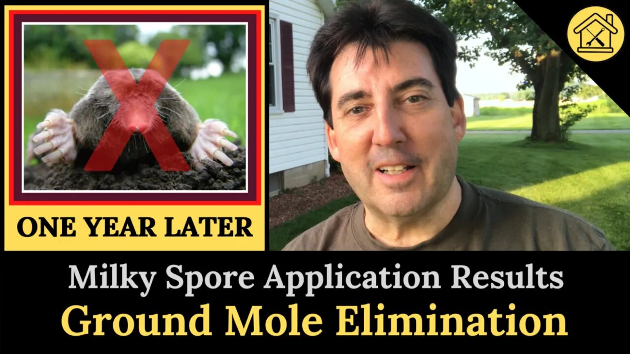 Eliminate Ground Moles? - Milky Spore Powder Results - One Year Later