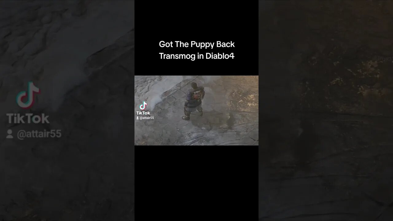 #puppy #transmog in #diablo4 #diablo #fypシ #fyp #animals #dog #digitalpet #pets #gaming #games #cute