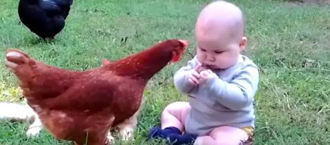 Enjoy leta baby hen