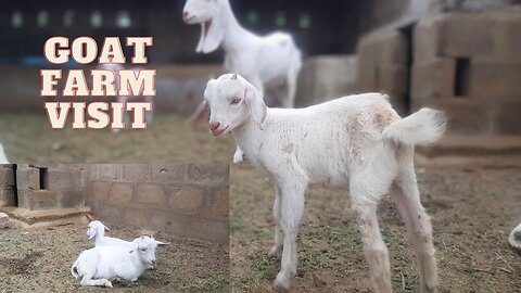 A visit to farm
