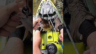 Kayaking Ohio creek - part 3