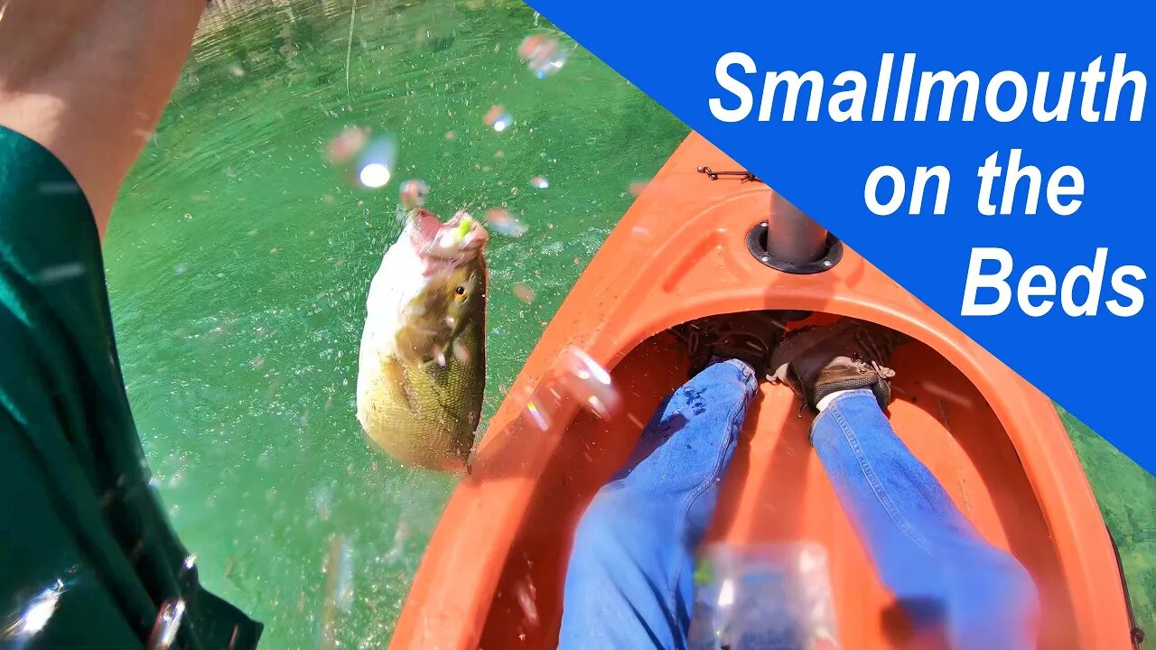 Fishing on a smallmouth Bed (with underwater footage)