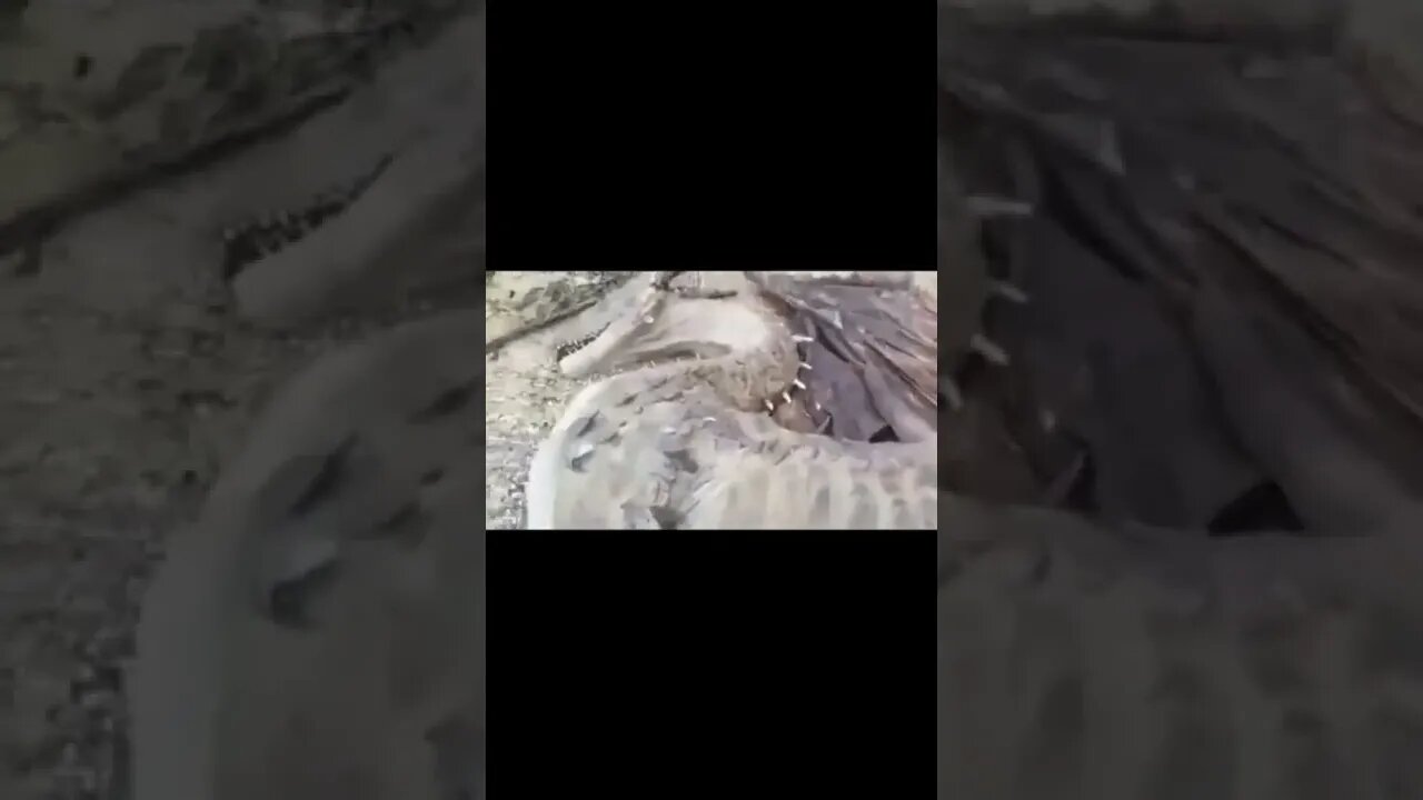 రియల్