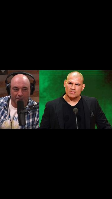 Joe Rogan Voices Support for UFC Fighter After He Attempted to Shoot Alleged Child Molester