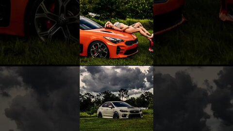 Sailfin Tropical is an awesome little place to get some photos!!￼