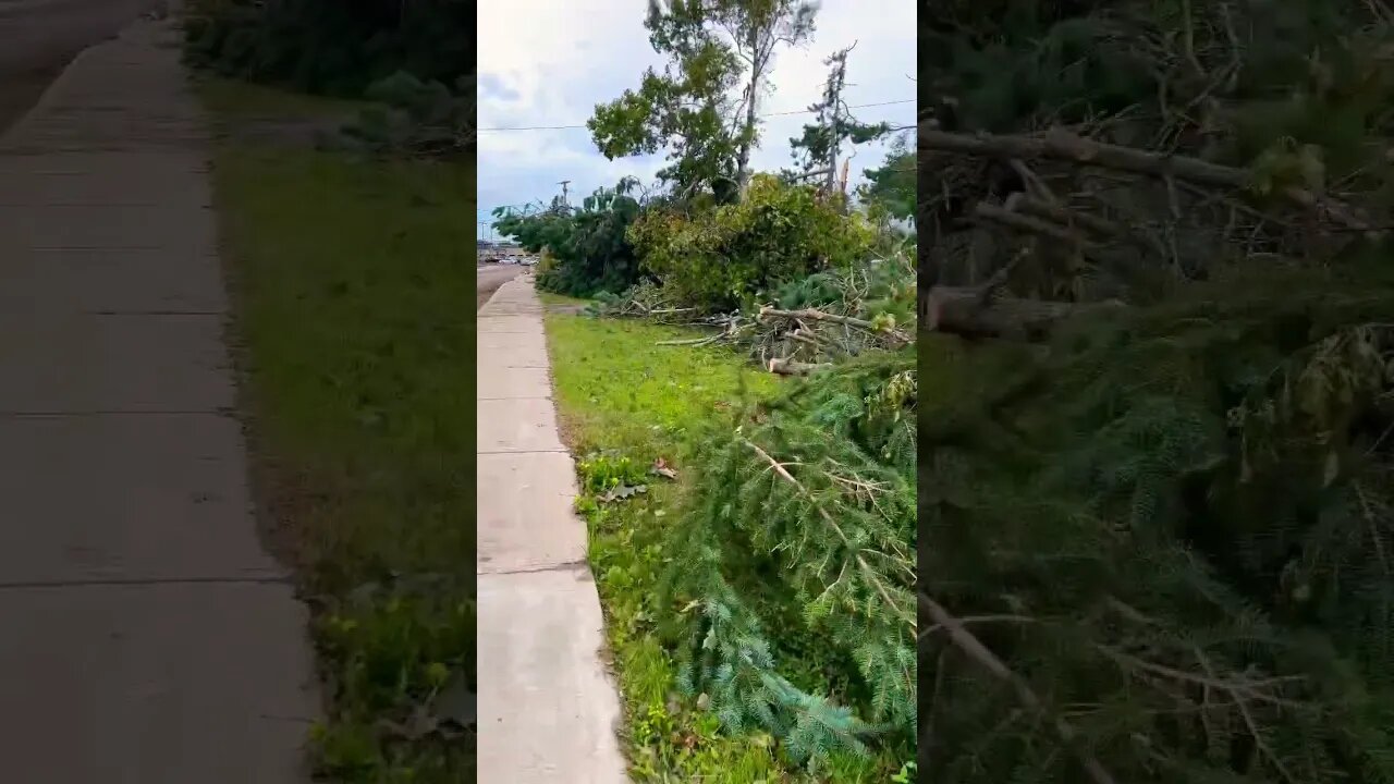 Cleaning Up after Hurricane Fiona