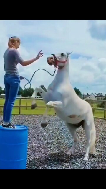 Fantastic funny girl and horse 🐎 🤣 #rumbleshort video