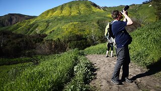 Leave No Trace: Treating The Wilderness Like A Museum