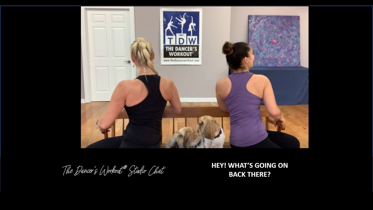 HEY WHAT'S GOING ON BACK THERE? - TDW Studio Chat 104 with Jules and Sara