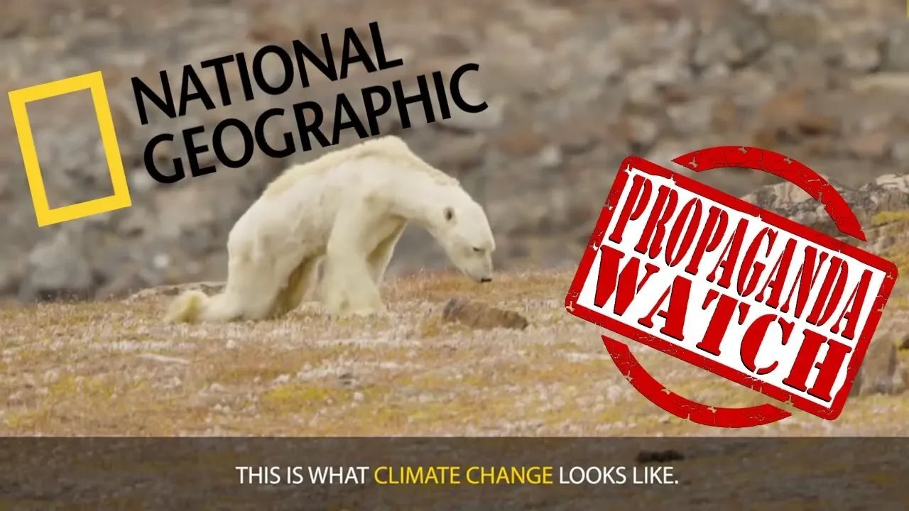 The Polar Bear Hoax - #PropagandaWatch