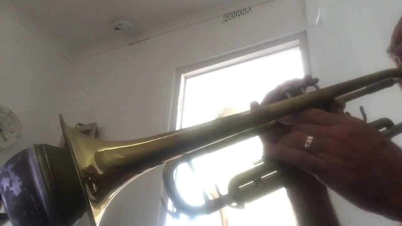 OBLADI OBLADA with live trumpet valve view