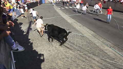 Marrada na Feteira - Festas Sanjoaninas 2024
