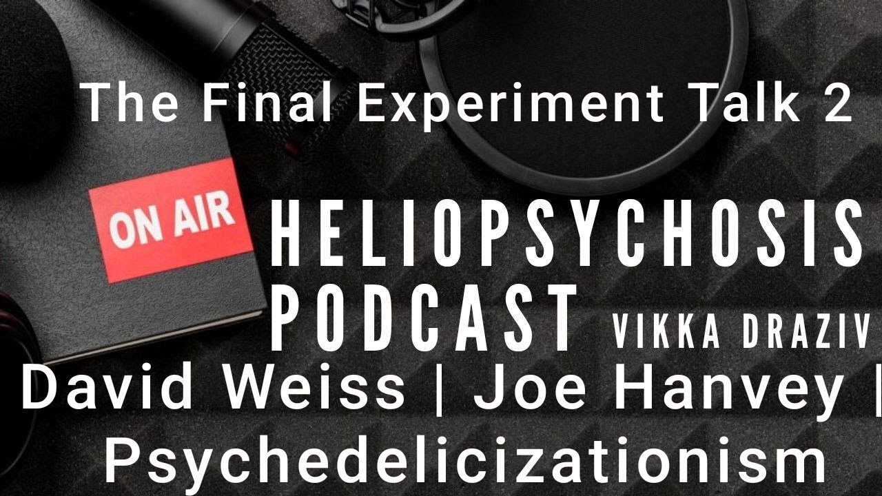 [Nov 17, 2024] The Final Experiment Talk 2 David Weiss | Joe Hanvey | Psychedelicizationism