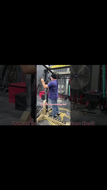 🚨 DAVE TATE IS LOST * Plz Help * 🚨