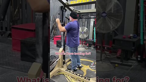 🚨 DAVE TATE IS LOST * Plz Help * 🚨