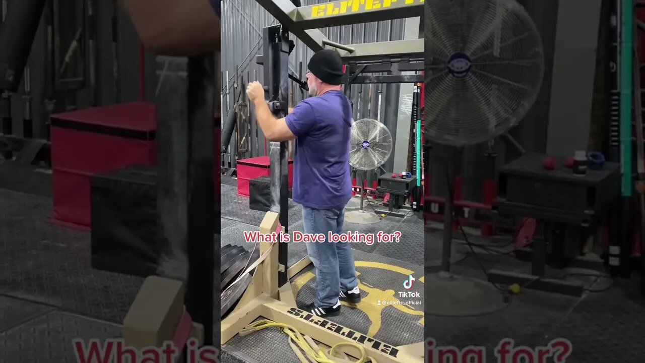 🚨 DAVE TATE IS LOST * Plz Help * 🚨