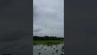 Helicopter 🚁 || Very Near